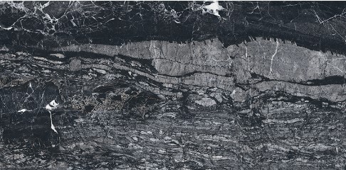 CARIBOU